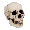 Skulls & Demons