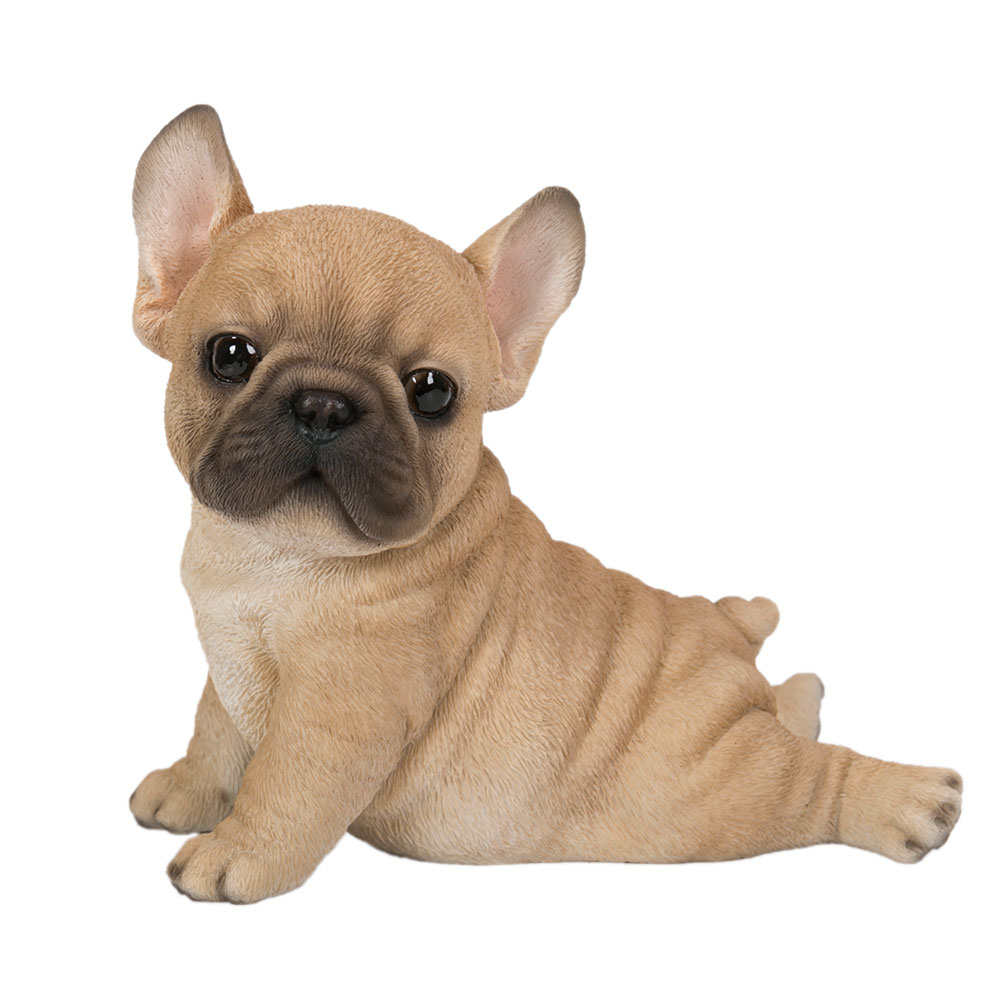 good toys for french bulldog puppies